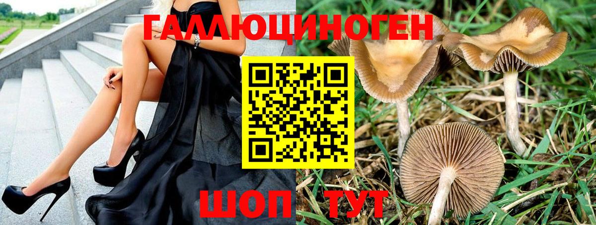 Сарапул  Псилоцибиновые грибы Psilocybe  Псилоцибиновые грибы GOLDEN TEACHER  Вход с VPN 